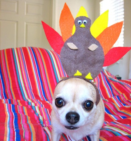 Ideas for teaching thanksgiving first grade