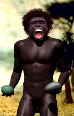 [homoerectus.JPG]