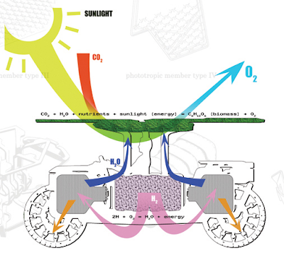 algae based carbon capture technology public companies algae based carbon capture technology public companies