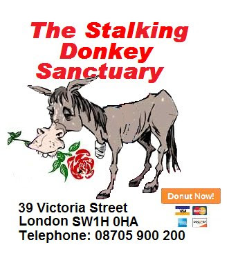 donkey+sanctuary.jpg