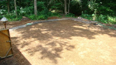 Seeded lawn