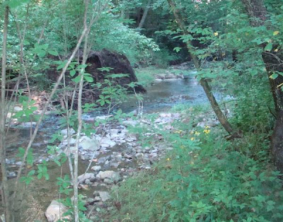 Many shapes and sizes of creek rocks
