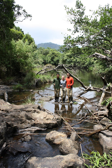 Us in the Jungle