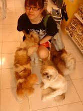 Animal Lover