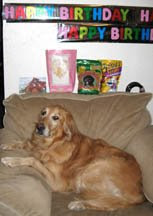 Sophie in her chair under her happy birthday banner