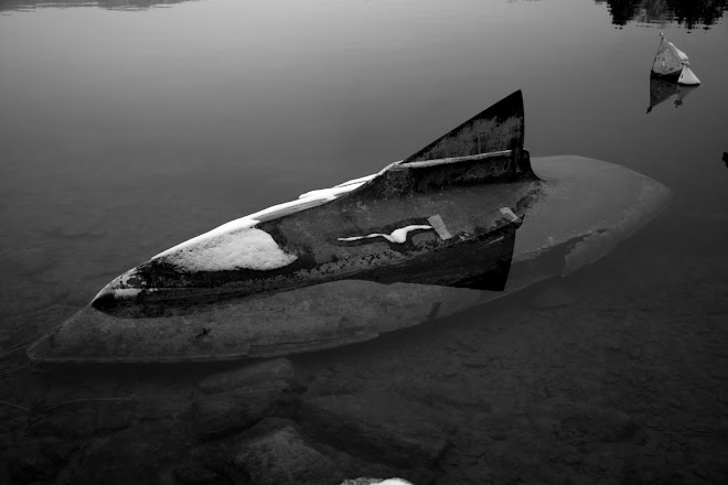 orca, dead boat