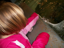 Stingray Aquarium at Kemah