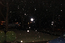 Snow Continued Into Night