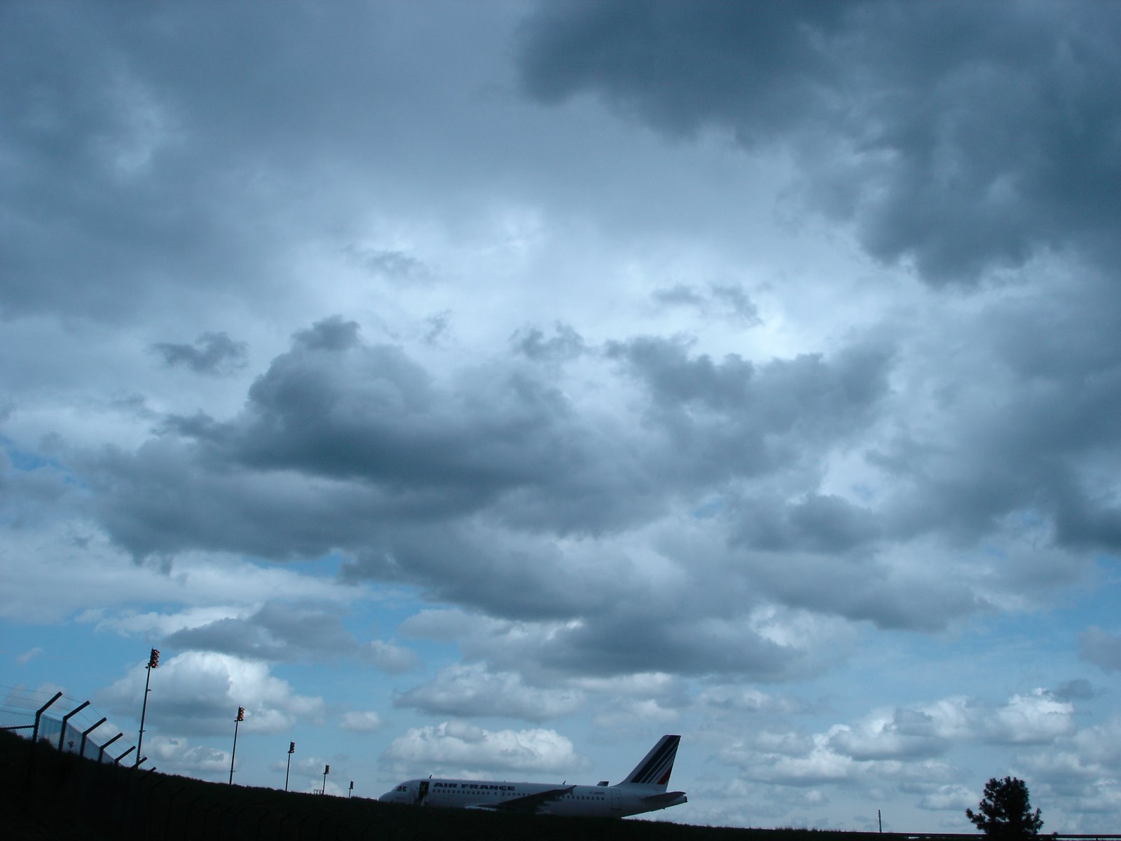 [DSC03562.JPG]
