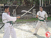 NAGINATA VS KENJUTSU