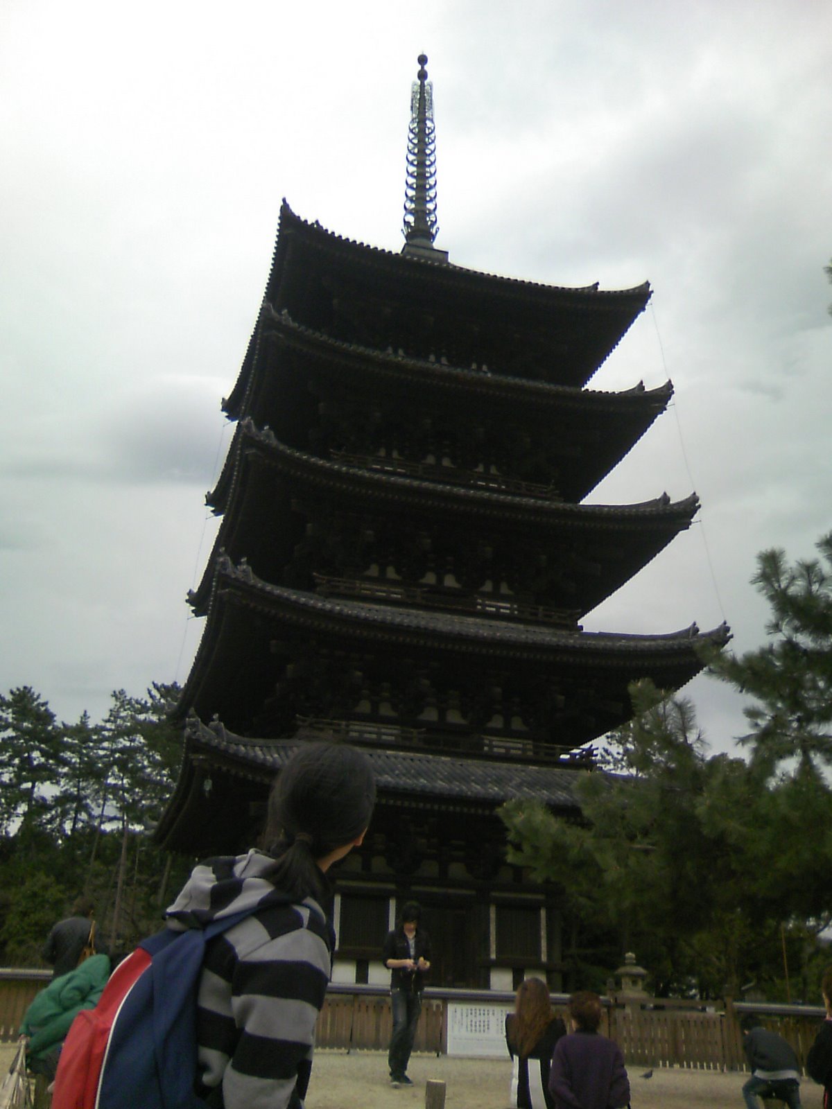 [DCF_0079.JPG]