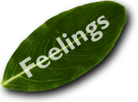 quit-smoking-Feelings