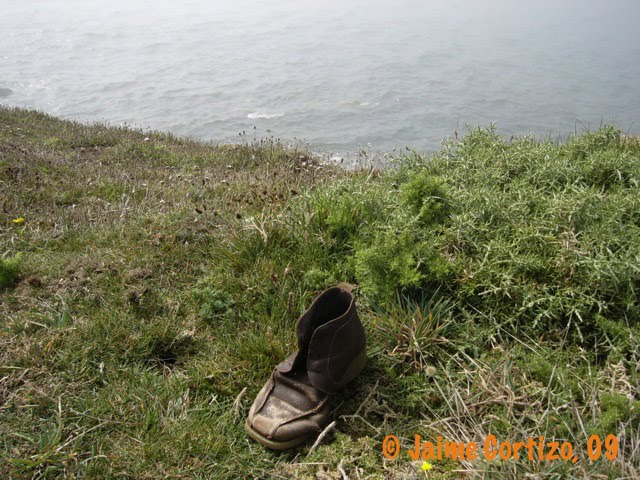 [bota+copy.jpg]