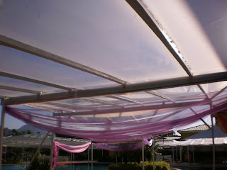 toldos eventos toldos eventos
