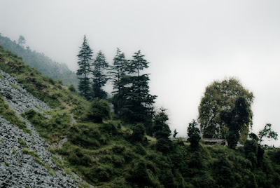 POSTED BY RIPPLE (VJ) on PHOTO JOURNEY : Waterfall near Bhagsu Temple @ Mcleodganj, Dharmshala, Himachal Pradesh: Bhagsu Nag temple is in Bhagsu Village about a km from McCleodganj. The temple is dedicated to Lord Shiva and has great historical significance. About seven streams, like miniature waterfalls flow here and these are considered holy with cleansing properties by devotees. A freshwater spring also flows through the temple and bathing in its waters is considered a spiritual experience in itself. The village of Bhagsu is originally a tribal Gaddi village, but now many Israelis have made it their home offering services and working to support themselves. In fact many of the signs are written in Hebrew and Hebrew is spoken in the streets, making the village a strange combination of Indians and Israelis. The village is a good start-out place for hikes and treks.: Hills, Himachal, Colorful, Dharmshala, Upper Dharmshala, Waterfall, bhagsunag, Triund, Himachal Pradesh: There is a very small trek to reach Bhagsunag waterfall and the way is really scenic, especially when there is fog around...