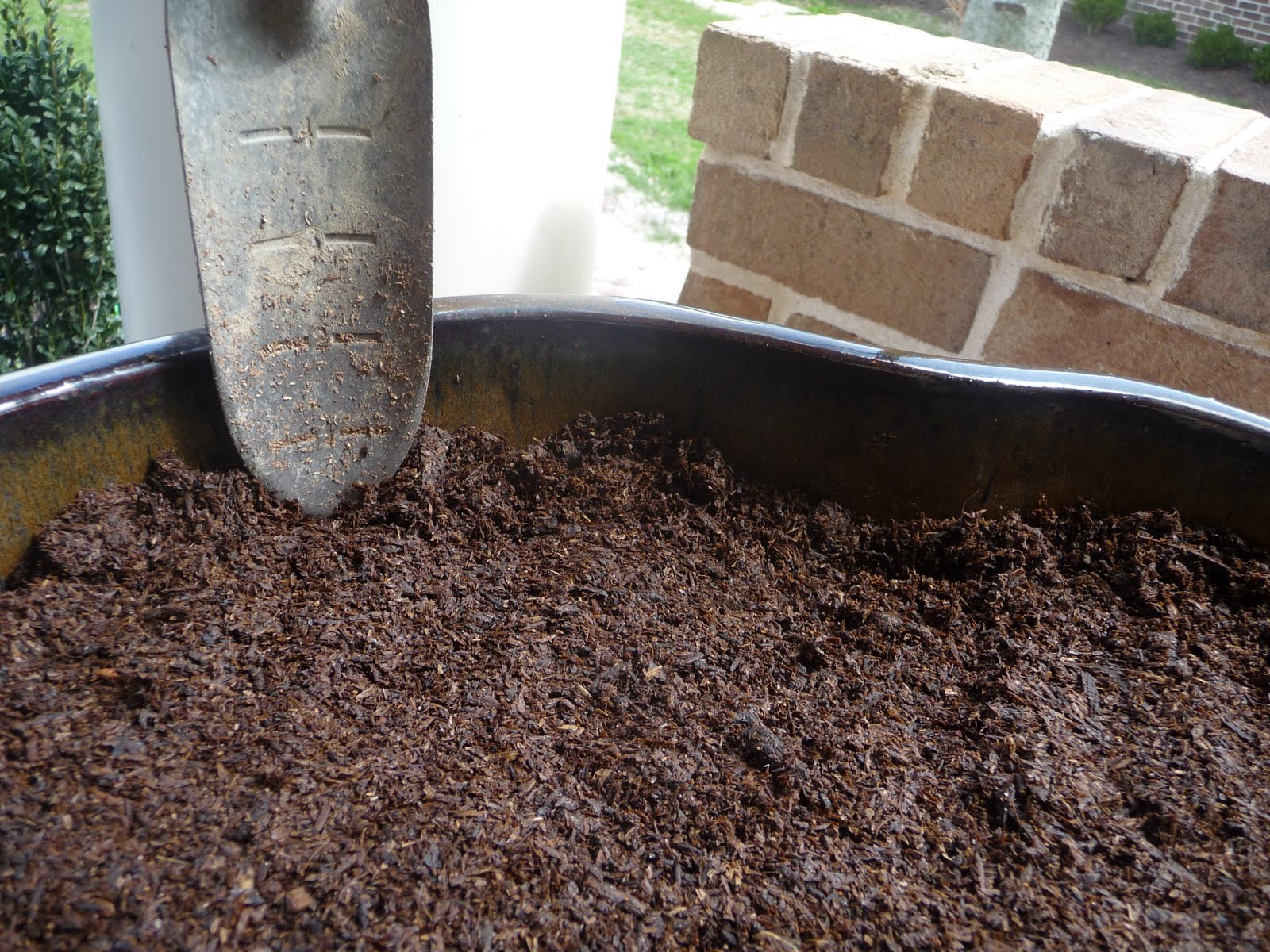 The Shiny Pebble How to plant herbs in a pot
