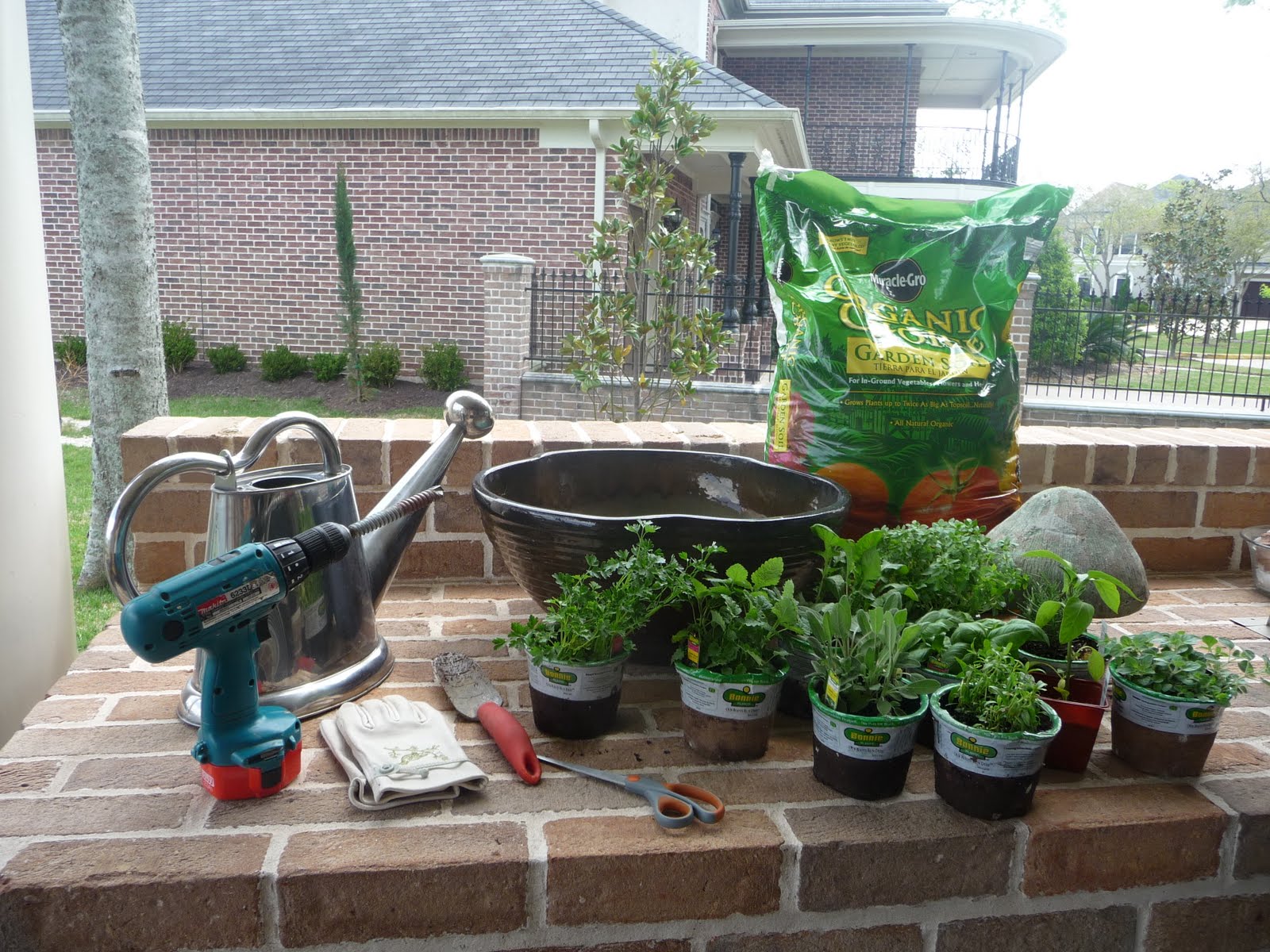 The Shiny Pebble How to plant herbs in a pot
