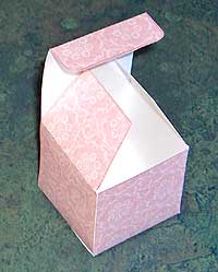 [lace--box-folded.jpg]