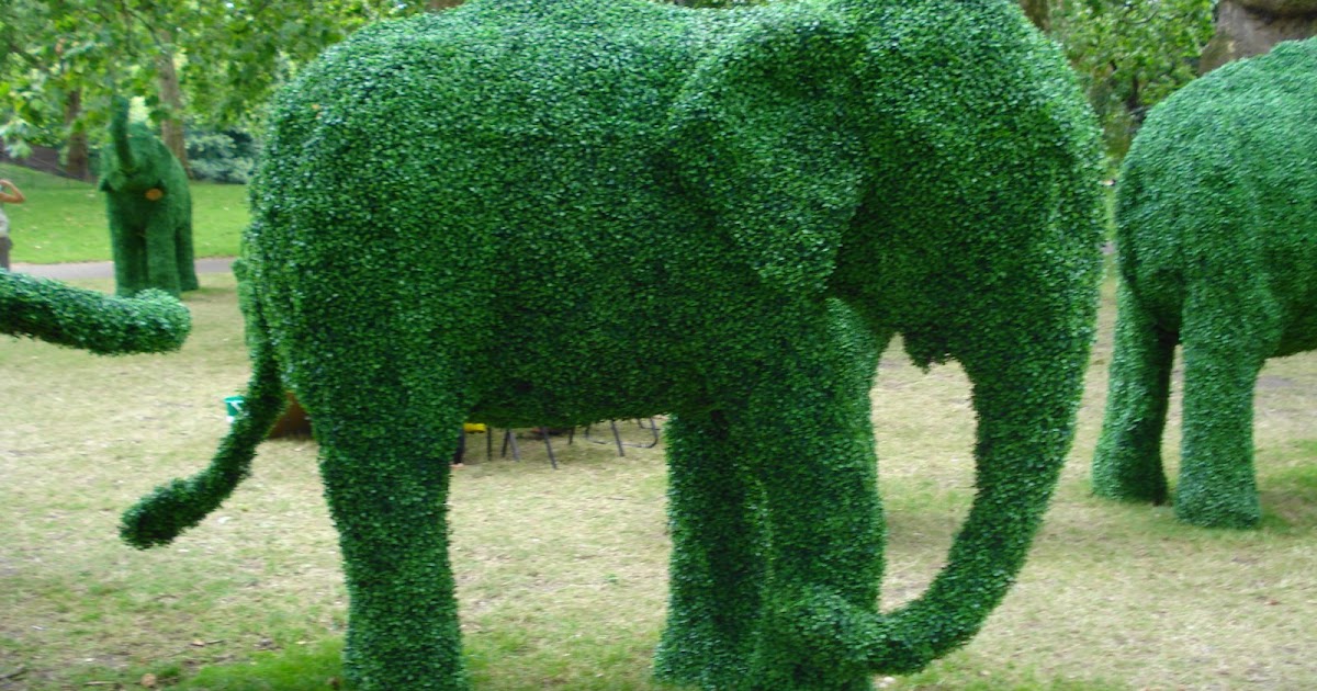 .londonshots. Elephant Topiary.londonshots.