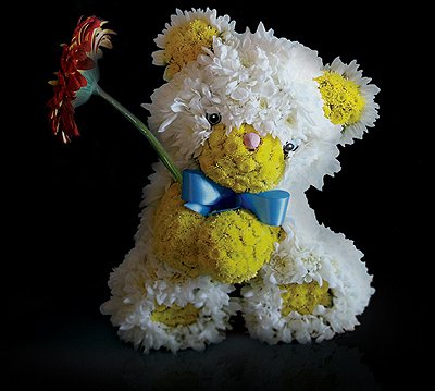 cute teddy bears dolls