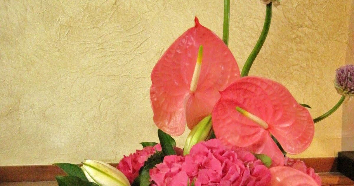BOUTIQUE FLORALE GIGI LACHINE FLORIST PINK ANTHURIUMS