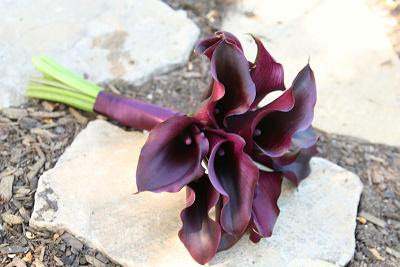 Wedding Flower Package on Beach Va Premade Mini Calla Lily Wedding Flowers Package 400