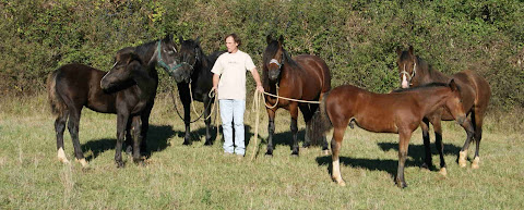 Photo de famille