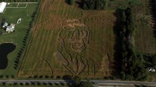 Sarah Palin carved into cornfield