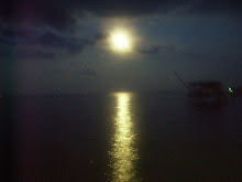 Moon Over Lake Livingston