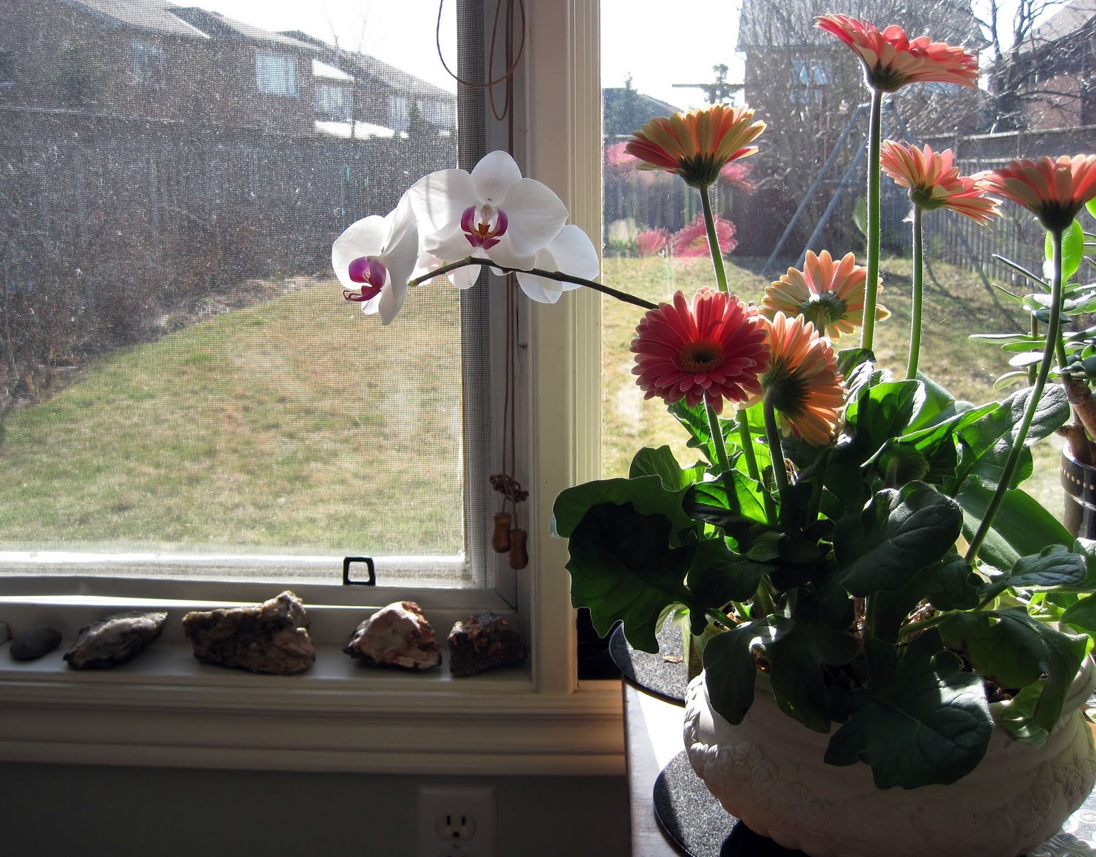 Burlap+to+cashmere+daisies+and+roses