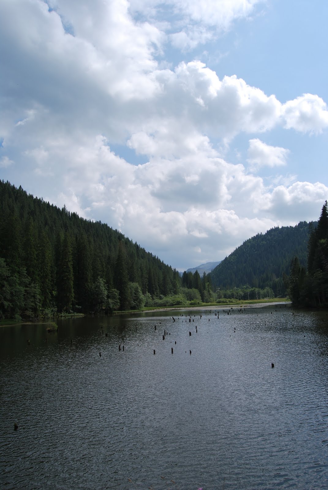 [DSC_0173.JPG]