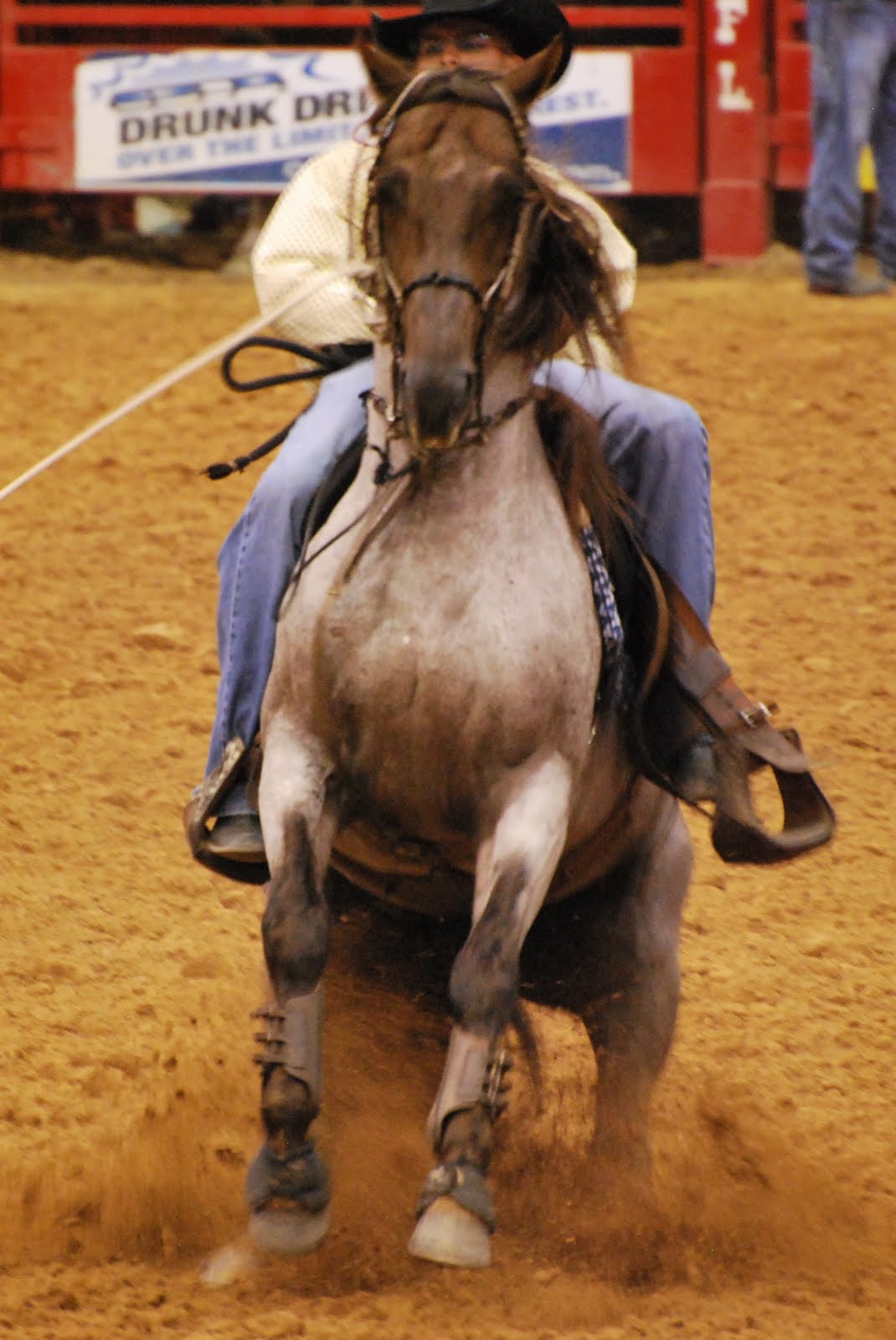Davie Pro Rodeo 2010 A Mix of Extraordinary Genius and Naive