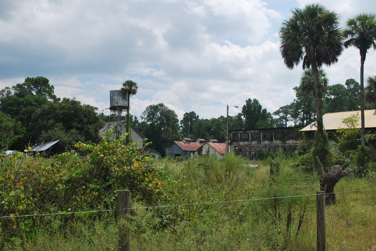 A Mix of Extraordinary Genius and Naive Rural Florida