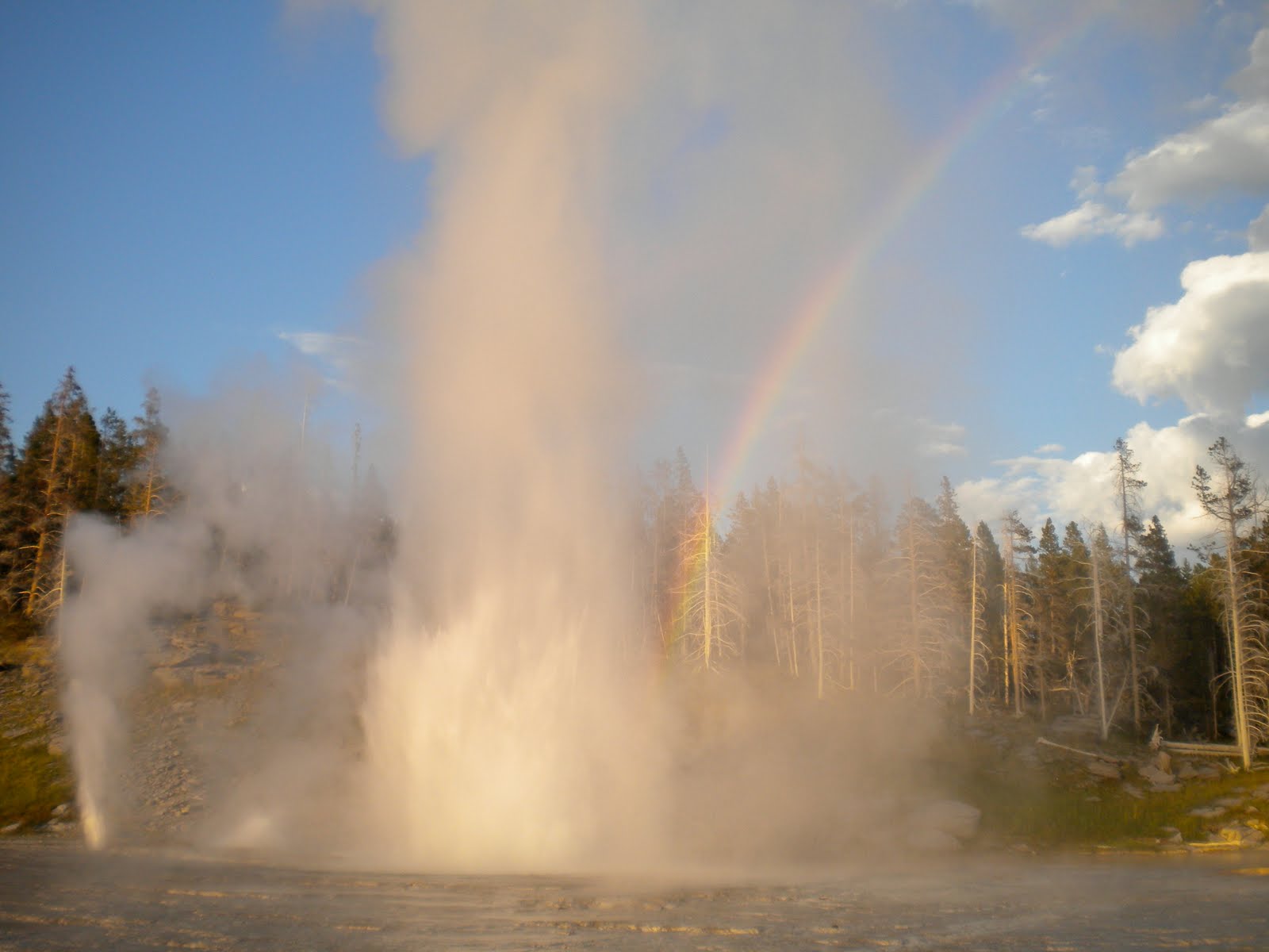 3 Brasingtons & A Van August 2010