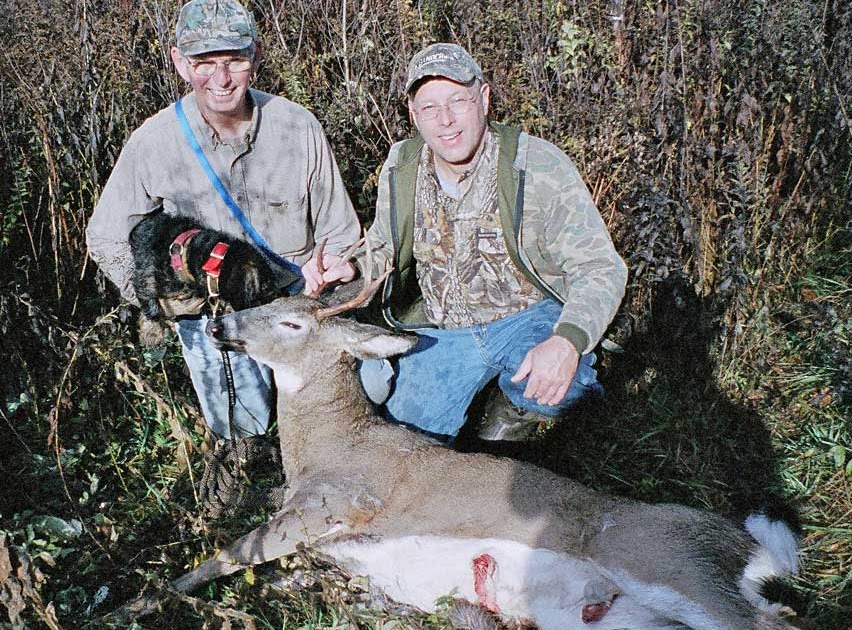 how to a deer tracking born to track how to find handlers who provide how to a deer tracking born to track how to find handlers who provide