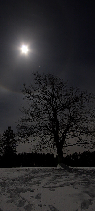 AU CLAIR DE LUNE