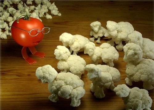 [tomate+e+cove+flor.jpg]
