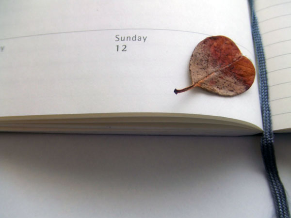 [autumm+leaf.jpg]