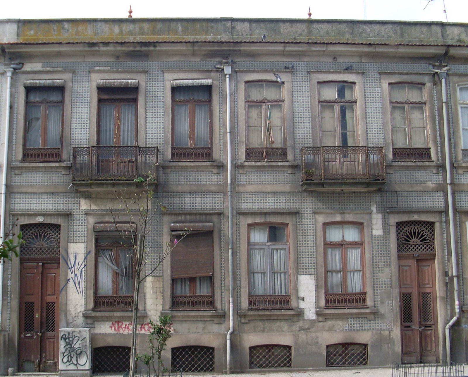[SL371613.JPG]