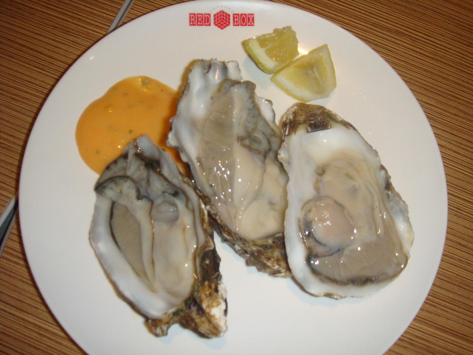 [DSC02640.JPG]