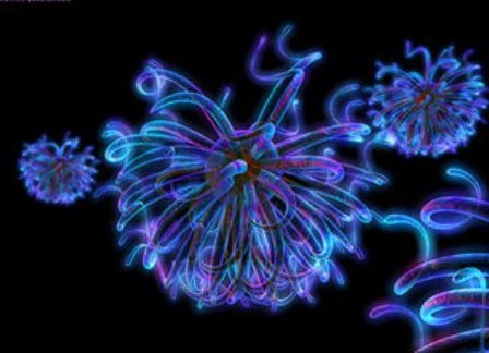 Here You can free 3d Wallpaper 3d animated desktop wallpaper. Here You can free 3d Wallpaper
