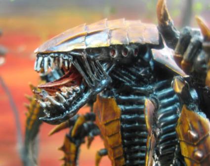 [roach+nid.jpg]