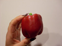 Container Gardening in the Desert