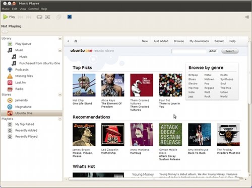 [ubuntu_one_music_store_detector_pro.jpg]