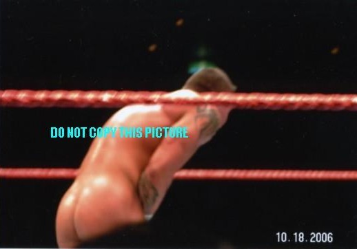 Free nude photos of randy orton, Hot and sex videos