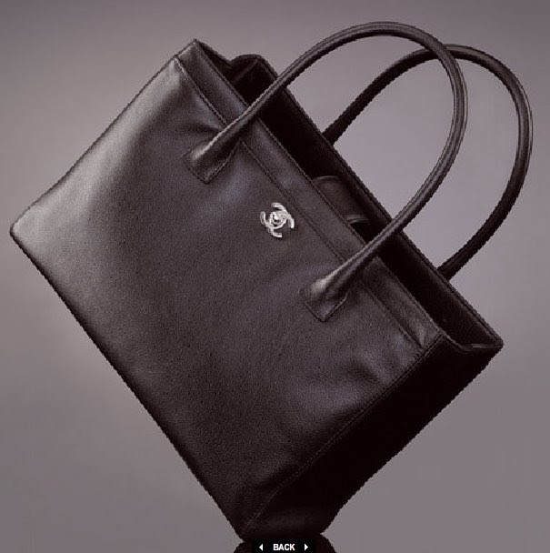 Grace My Closet Chanel Classics Bag