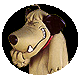 [muttley.gif]