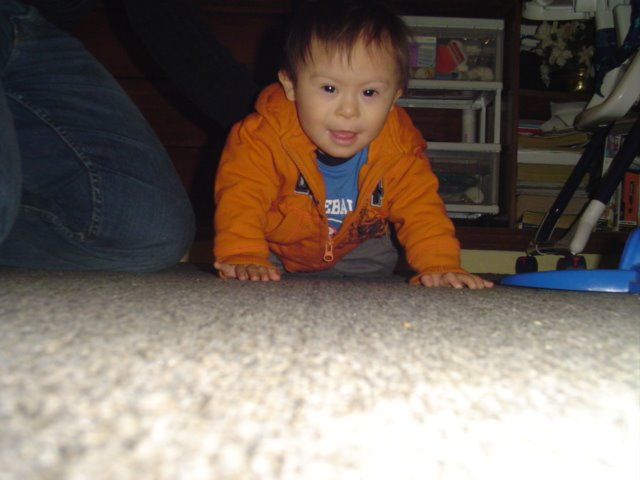 [DSC08497.JPG]