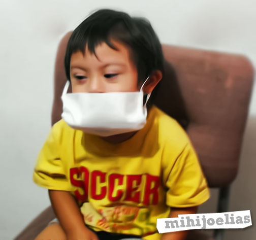 [elias-swineflu+copia.jpg]