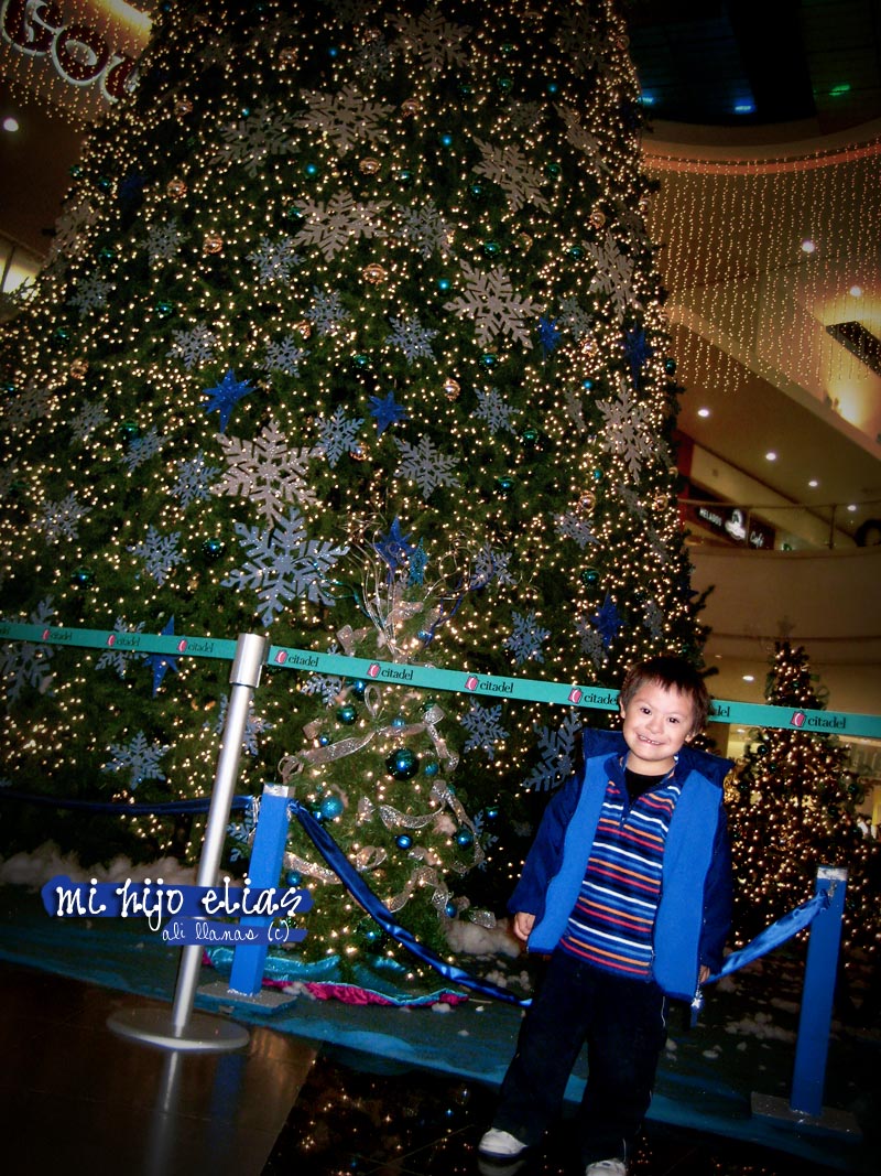 [IMG_2838+copy.jpg]